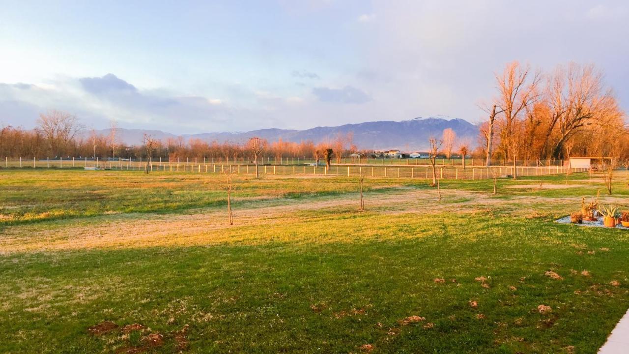 Azienda Agrituristica Ai Prai Castello Di Godego Phòng bức ảnh