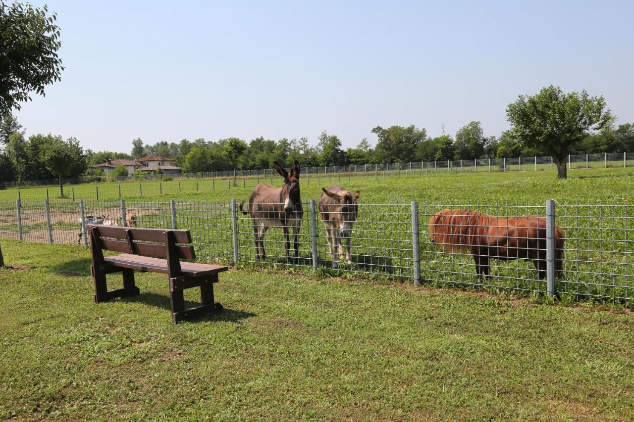 Azienda Agrituristica Ai Prai Castello Di Godego Ngoại thất bức ảnh