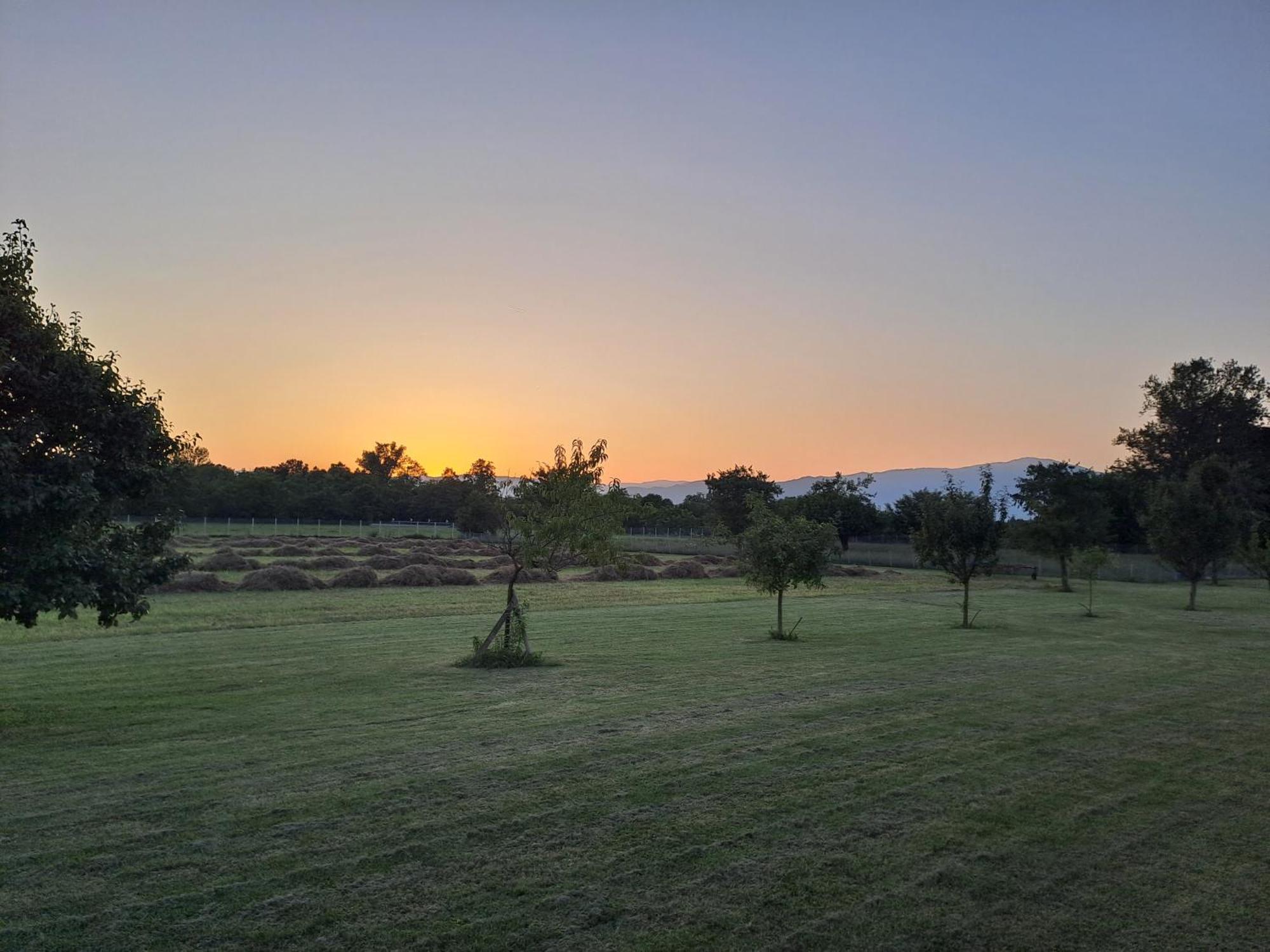 Azienda Agrituristica Ai Prai Castello Di Godego Ngoại thất bức ảnh