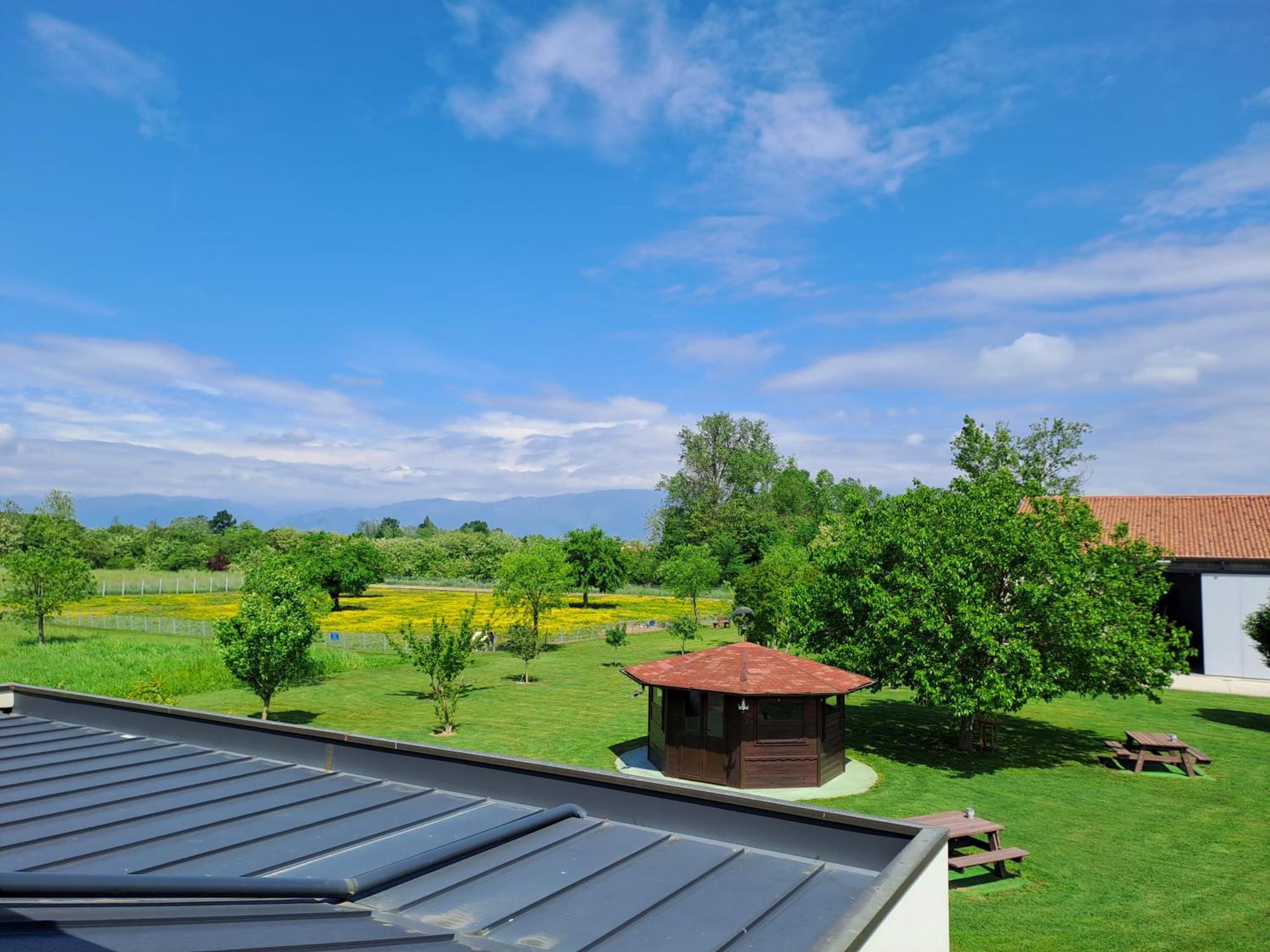 Azienda Agrituristica Ai Prai Castello Di Godego Ngoại thất bức ảnh