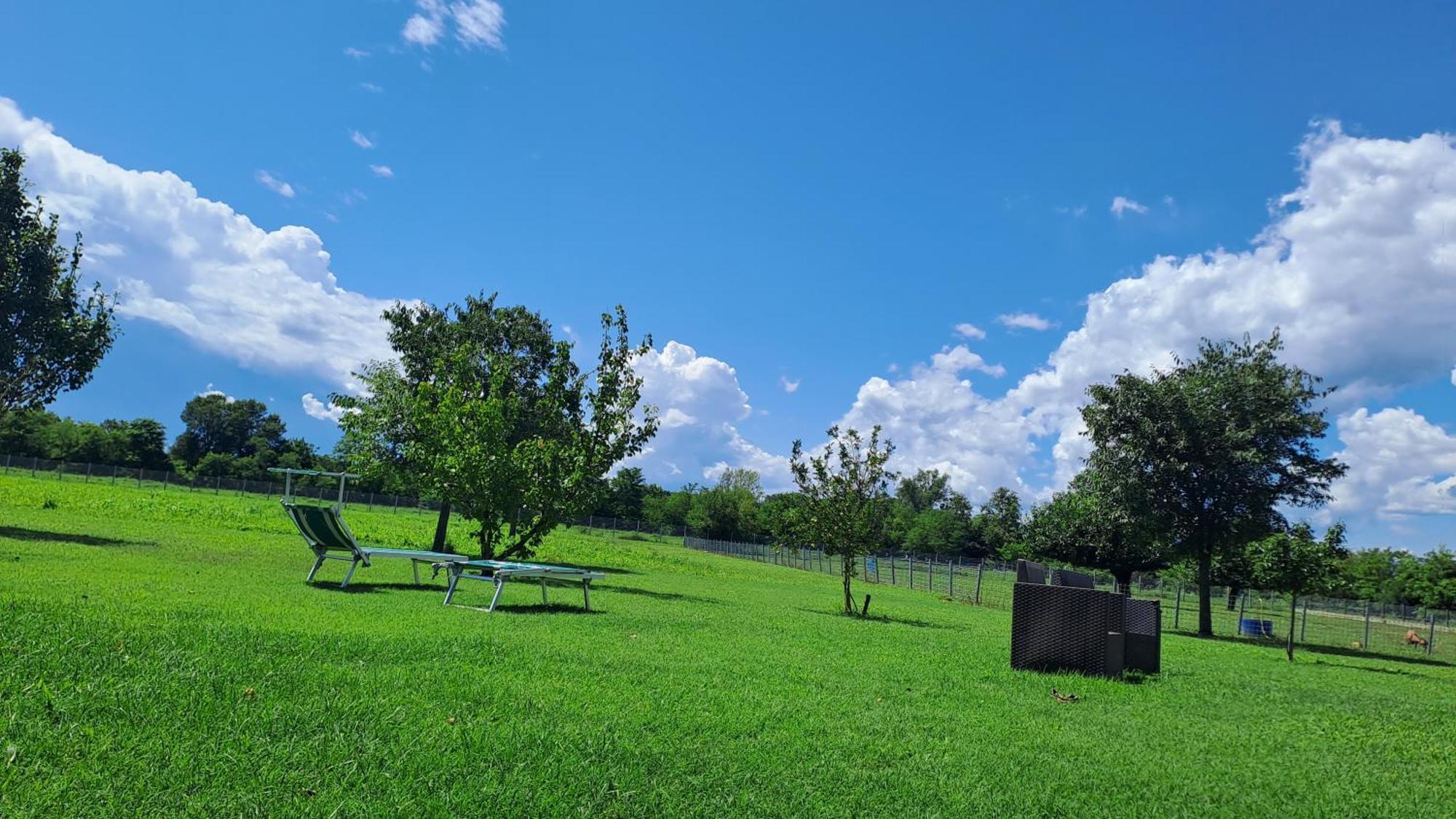 Azienda Agrituristica Ai Prai Castello Di Godego Ngoại thất bức ảnh
